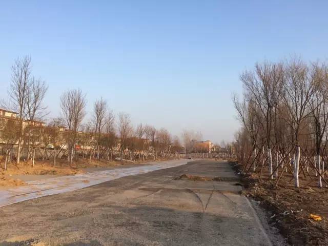 點擊查看大圖 T1uDYTB4AT1RCvBVdK.jpg