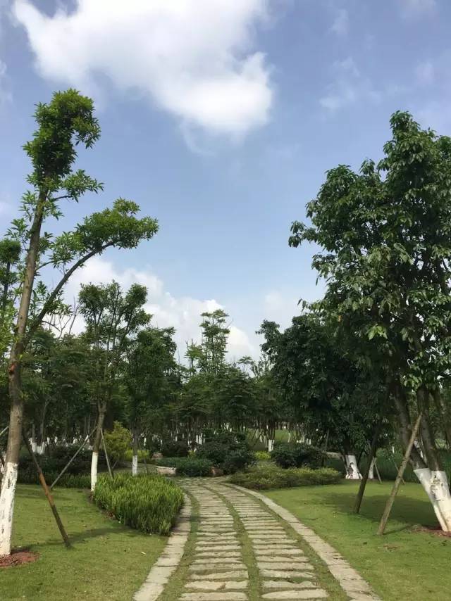 點擊查看大圖 T11DDTBCCT1RCvBVdK.jpg