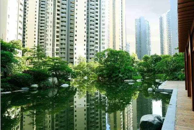點擊查看大圖 T1MhxTBvxT1RCvBVdK.jpg